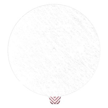 Einmal-Papierfilter Ø 184 mm (100 Stck.)