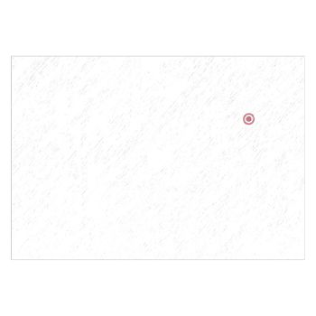 Einmal-Papierfilter 235 x 165 mm (100 Stck.)