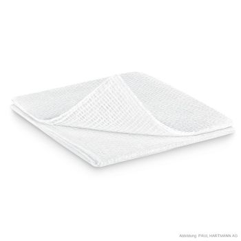 ES-Kompressen steril 12-fach 10 x 10 cm (25 x 2 Stck.)