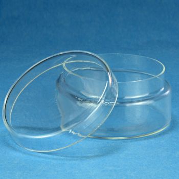 Glasdose mit losem Deckel 40 x 80 mm