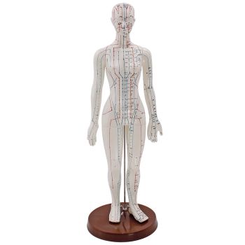 Akupunkturmodell Frau 0