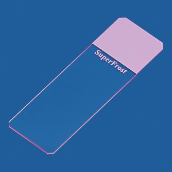 Objektträger SuperFrost lila geschliffen 45° (50 Stck.)