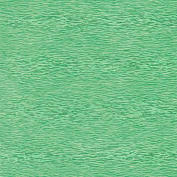 Sterilisier-Vlies 50 x 50 cm grün (500 Stck.)