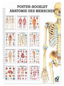 Mini-Poster Booklet: Anatomie 0
