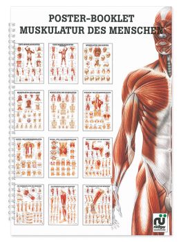 Mini-Poster Booklet: Muskulatur 0