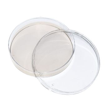 Candida-Agar (Nickerson) (Biggy-Agar) (10 Fertigplatten)