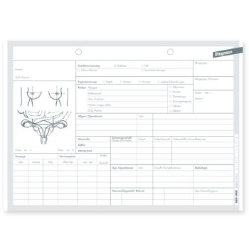 Diagnosekarten DIN A5 quer Typ Gynäkologie (500 Stck.)