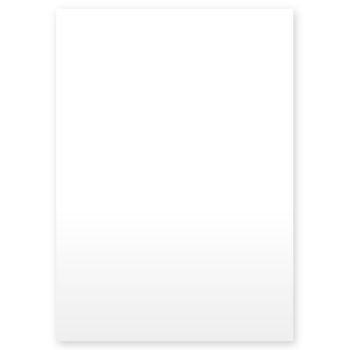 Karteitaschen ALPHAnorm DIN A5 quer Typ Altablage unbedruckt (1000 Stck.)