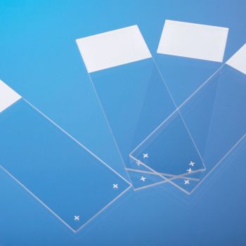 Objektträger SuperFrost/Plus geschliffen 90° (72 Stck.)