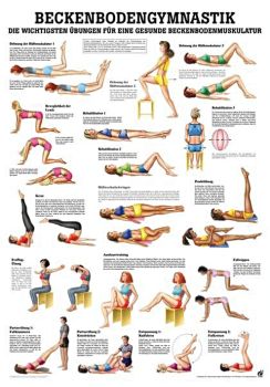 anat. Lehrtafel: Beckenbodengymnastik 70 x 100 cm