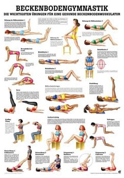 anat. Lehrtafel: Beckenbodengymnastik 70 x 100 cm