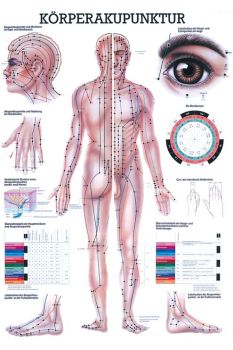 anat. Lehrtafel: Körperakupunktur 70 x 100 cm