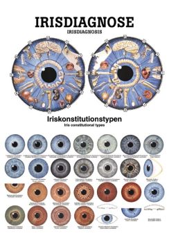 anat. Poster: Irisdiagnose 50 x 70 cm