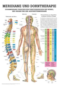 anat. Mini-Poster: Dorntherapie und Meridiane