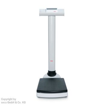 integrationsfähige Säulenwaageseca 704 inkl. Eichkosten  69