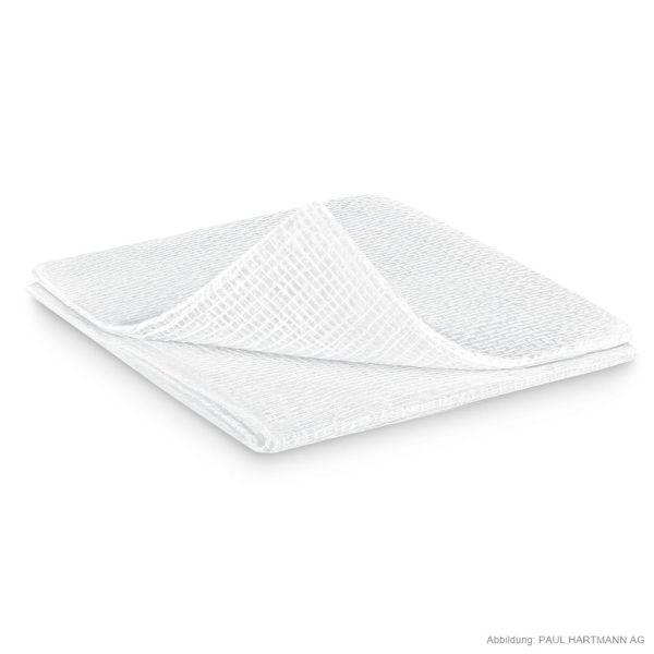 ES-Kompressen steril 12-fach 10 x 10 cm (25 x 2 Stck.)