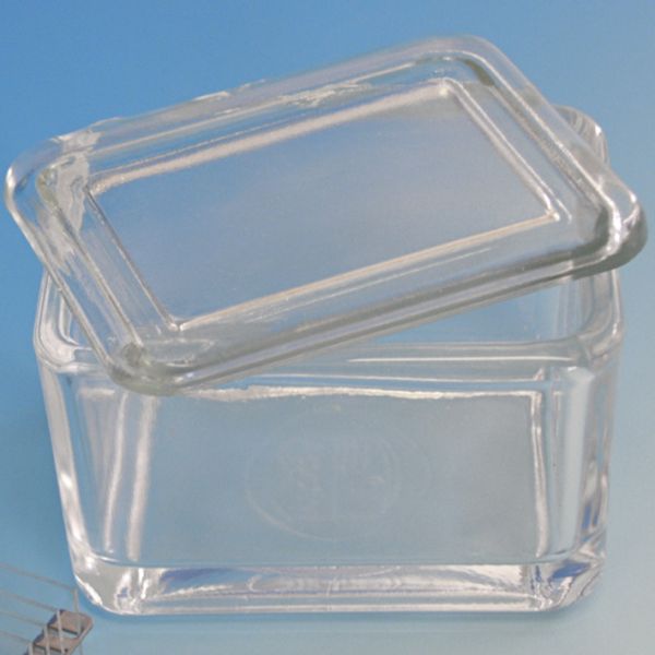 Glaskasten mit Deckel allein 9 x 7 x 6