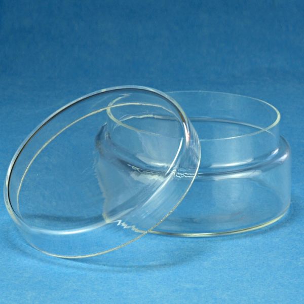 Glasdose mit losem Deckel 40 x 80 mm