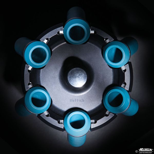 Ausschwingrotor mit Stehfuß 6-fach, ohne Gehänge