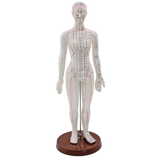 Akupunkturmodell Frau 0