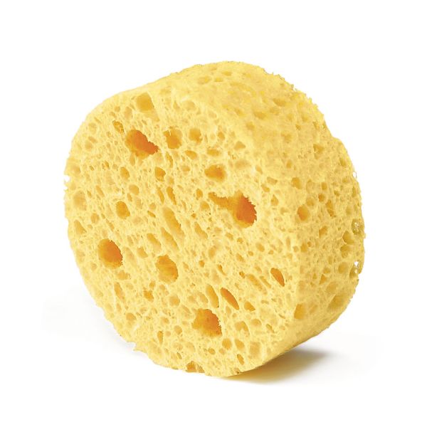 Schwämme 4-Loch, Ø 60 mm, für Reizstromgeräte (10 Stck.)