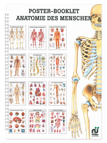 Mini-Poster Booklet: Anatomie 0