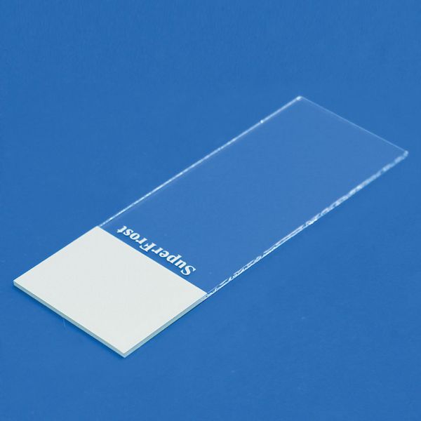Objektträger SuperFrost weiß geschnitten (50 Stck.)