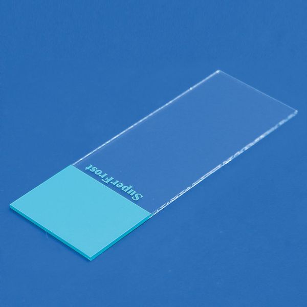 Objektträger SuperFrost blau geschnitten (50 Stck.)