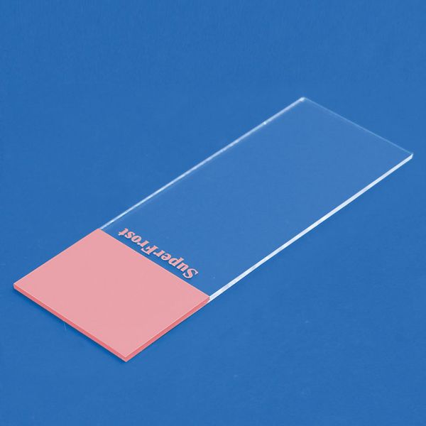 Objektträger SuperFrost rosa geschliffen 90° (50 Stck.)