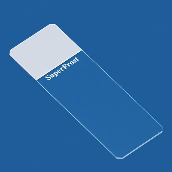 Objektträger SuperFrost weiß geschliffen 45° (50 Stck.)