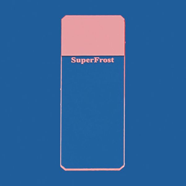 Objektträger SuperFrost rosa geschliffen 45° (50 Stck.)