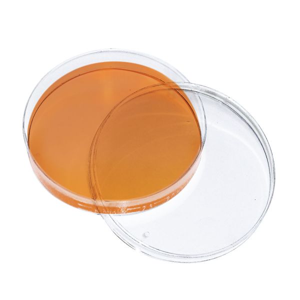 Dermatophyten-Selektivagar (Taplin) (10 Fertigplatten)