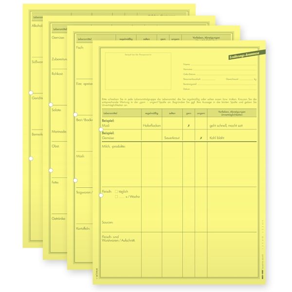 Ernährungsanamnese DIN A3 4-seitig (100 Stck.)