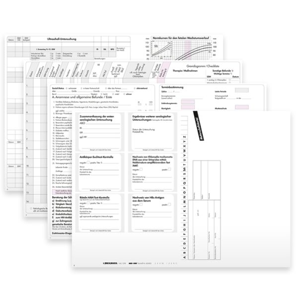 Mutterschaftskarteikarten (250 Stck.) 0
