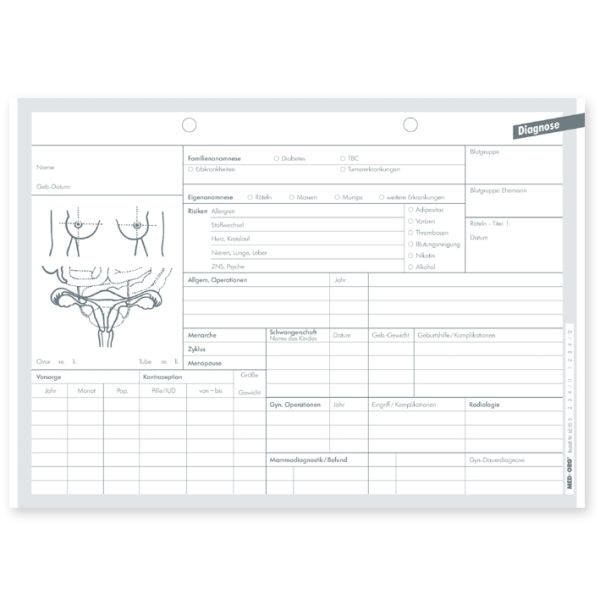 Diagnosekarten DIN A5 quer Typ Gynäkologie (500 Stck.)