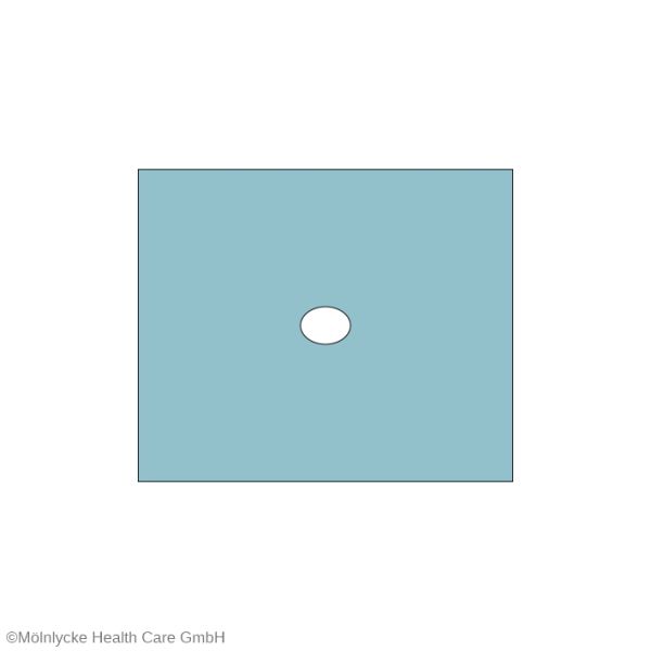 Lochtücher 50 x 60 cm, Loch Ø 6 x 8 cm (70 Stck.)