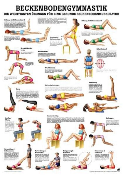 anat. Lehrtafel: Beckenbodengymnastik 70 x 100 cm