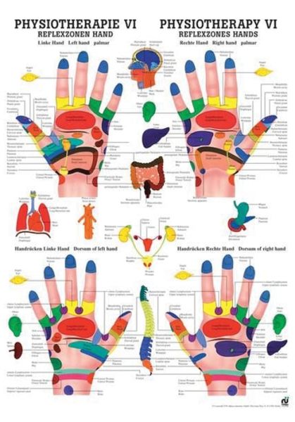 anat. Poster: Physiotherapie Reflexzonen Hand