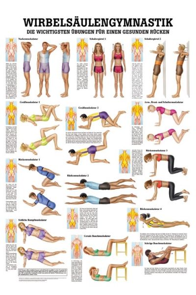 anat. Lehrtafel: Wirbelsäulengymnastik 70 x 100 cm