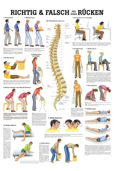 anat. Lehrtafel: Richtig & Falsch für Ihren Rücken 70 x 100 cm