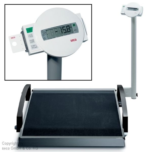 integrationsfähige Rollstuhlwaage seca 665 inkl. Eichkosten  69