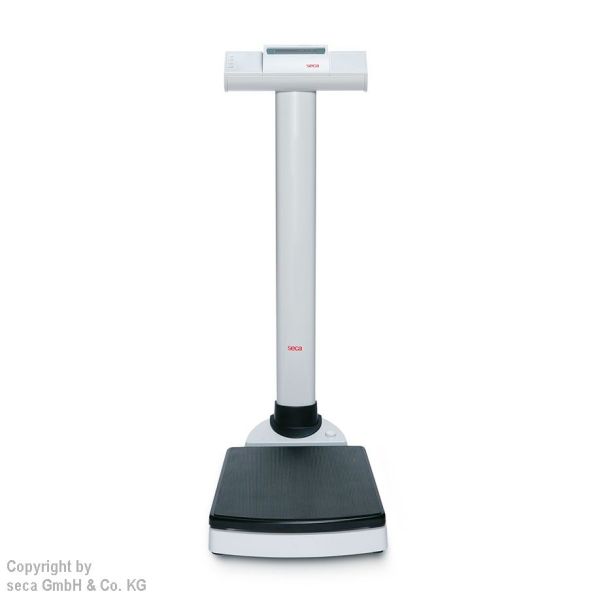 integrationsfähige Säulenwaageseca 704 inkl. Eichkosten  69