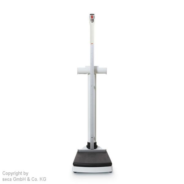 integrationsfähige Säulenwaage seca 704s mit Messstab inkl. Eichkosten  69