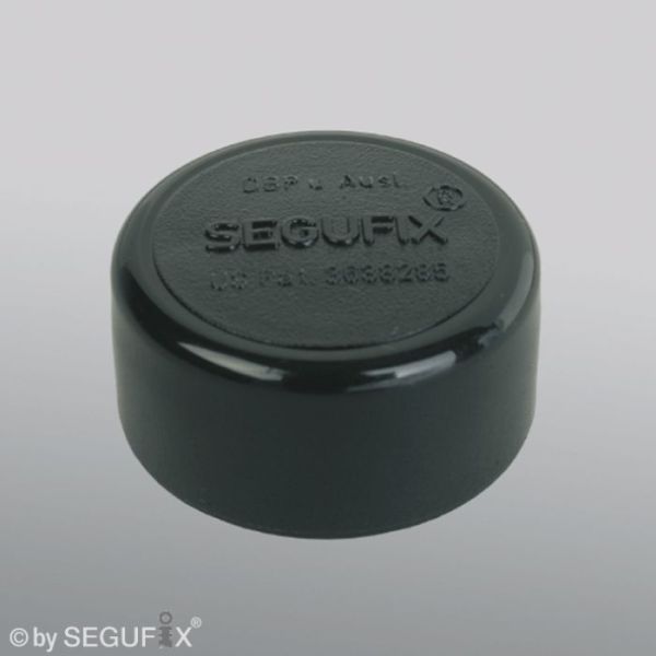 SEGUFIX-Magnetknopf schwarz/segufix.com (10 Stck.)