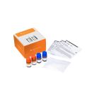 LumiraDx HbA1c Control (je 3 Pack) * nur für den professionellen Gebrauch *