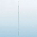 Impfschlinge mit Nadel und Schlinge PS