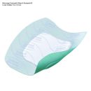 Cutimed Siltec Sorbact B Schaumverband 17