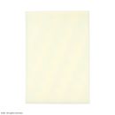 3M Reston Schaumstoffpolster, 20 x 30 x 1