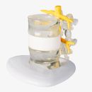 Bandscheibenvorfall-Simulator 0