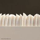 Pro-ophta Augenstäbchen steril, Ø 5 mm, 64 mm lang (20 x 20 Stck.)